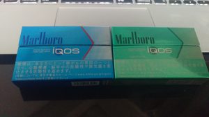 IMAG0215