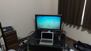 imag0267